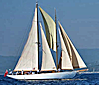 yacht-chartern-99.png