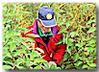 br-17-12.png