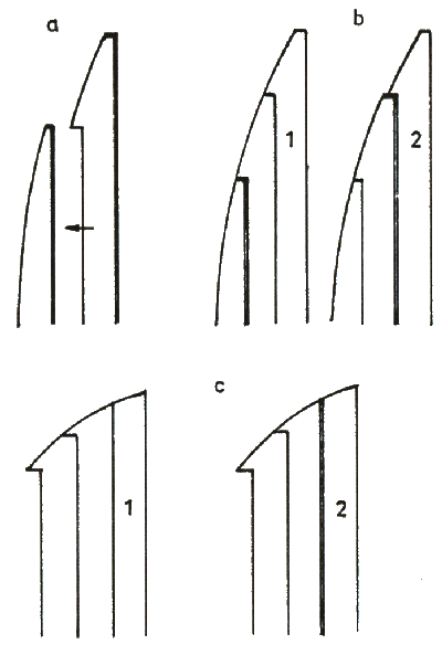 fib-01-02-b21.gif
