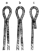 fib-02-03-b01.gif
