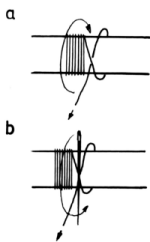 fib-02-03-b07.gif