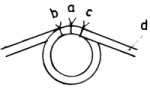 fib-02-03-b08.gif