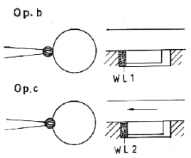 fib-02-04-b07.gif