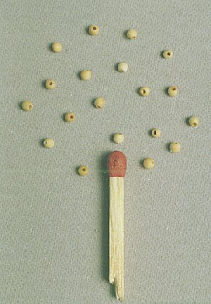 fib-02-08-b00.jpg