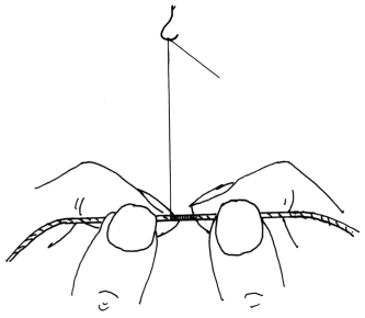 fib-02-09-b09.gif