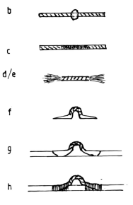 fib-02-09-b10.gif