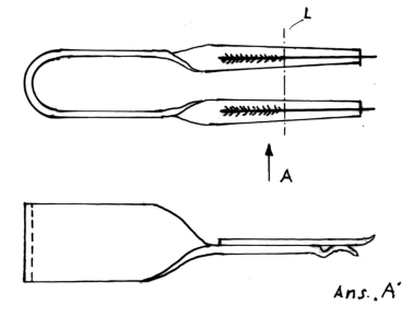 fib-02-09-b12.gif