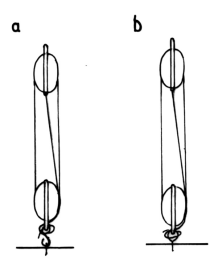 fib-02-10-b19.gif