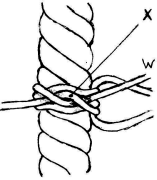 fib-02-11-b02.gif