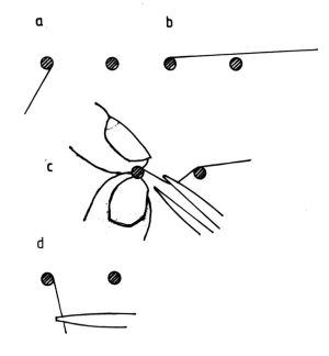 fib-02-11-b09.gif
