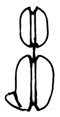 fib-02-11-b15.gif