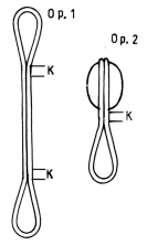 fib-02-11-b16.gif