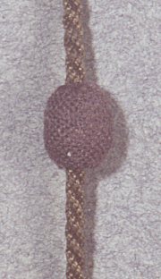 fib-02-11-b19.jpg