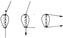 fib-02-11-b21.gif