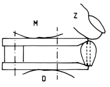 fib-02-11-b22.gif