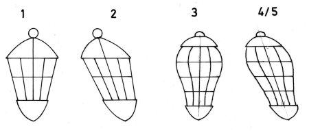 fib-03-01-b01.gif
