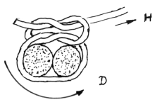 fib-03-03-b03.gif