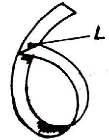 fib-03-04-b09.gif