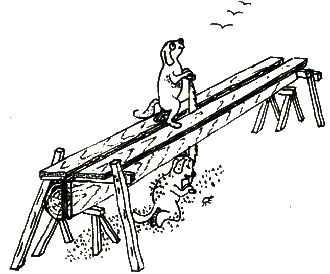 fib-03-06-b129.gif