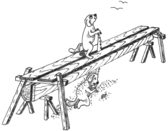fib-03-07-b01.gif