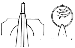 fib-03-09-b19.gif