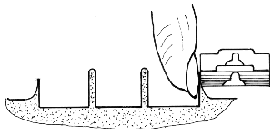 fib-03-15-b04b.gif