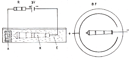 fib-03-16-b07.gif