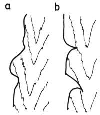 fib-04-02-b09.gif