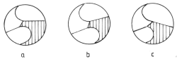 fib-04-03-b06.gif